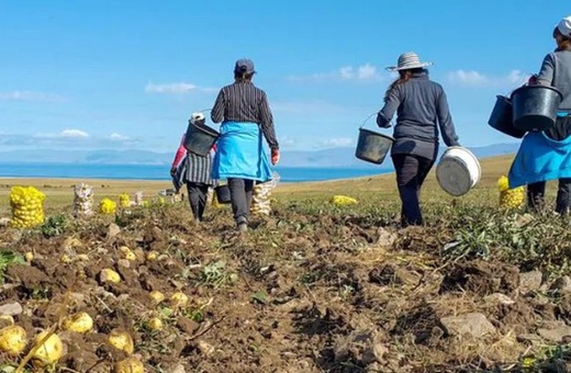 zilieri-agricultura.png